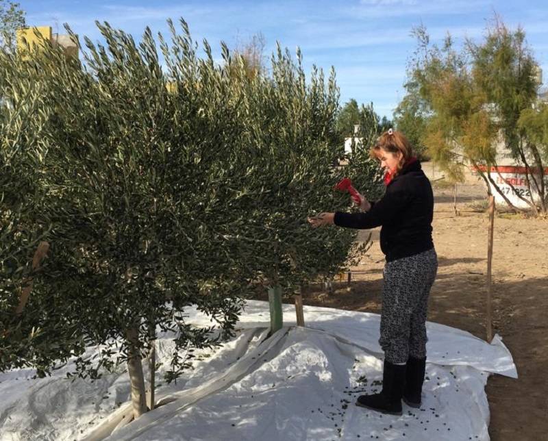 Imagen de la Noticia