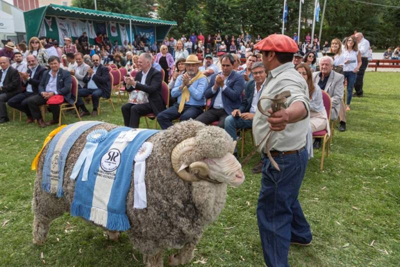 Imagen de la Noticia