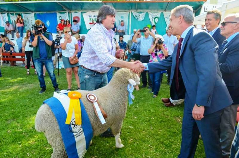 Imagen de la Noticia