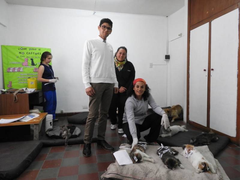 Imagen de la Noticia