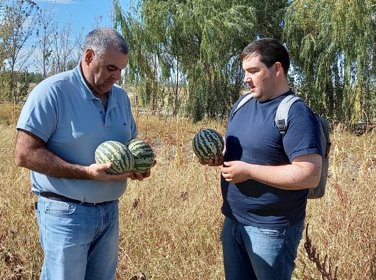 Imagen de la Noticia
