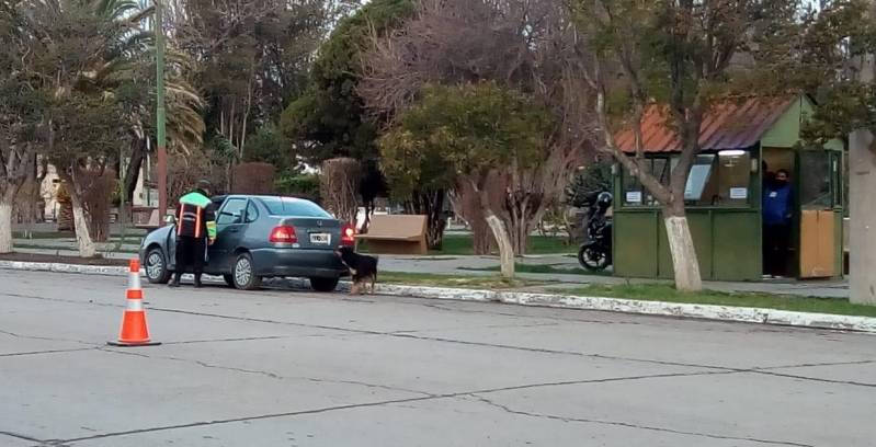Imagen de la Noticia