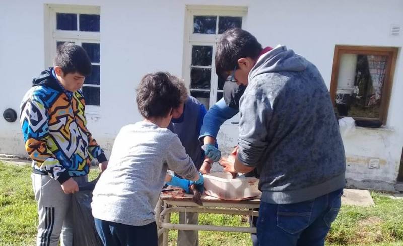 Imagen de la Noticia