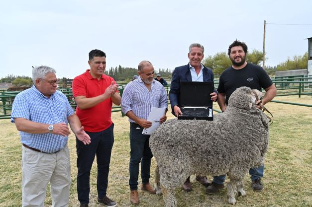 Imagen de la Noticia