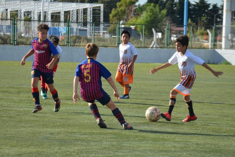 Imagen de la Noticia