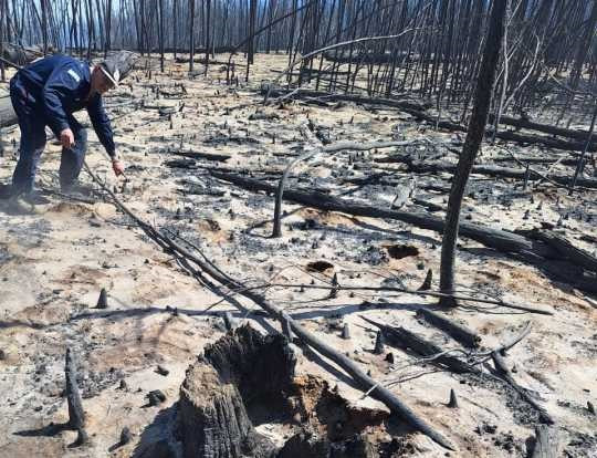 Imagen de la Noticia