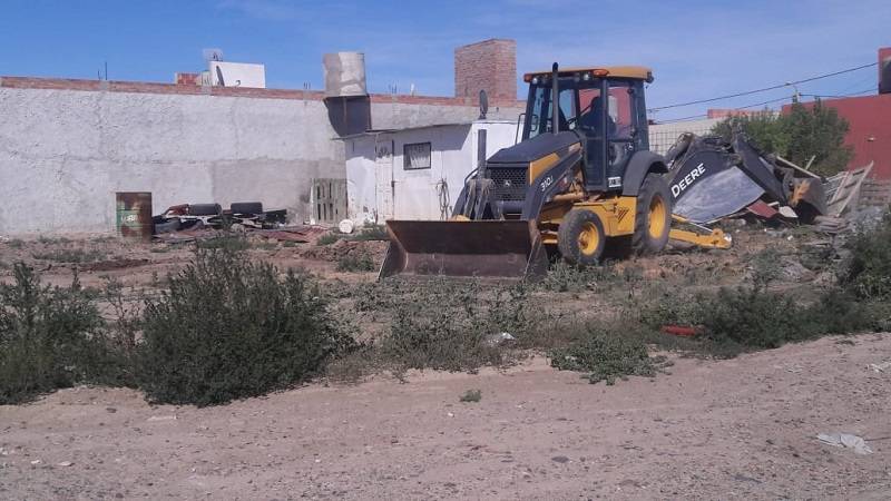 Imagen de la Noticia
