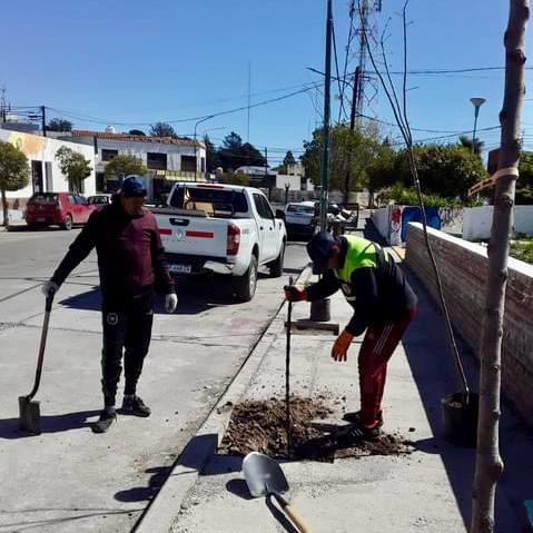 Imagen de la Noticia