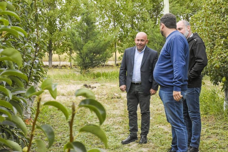 Imagen de la Noticia