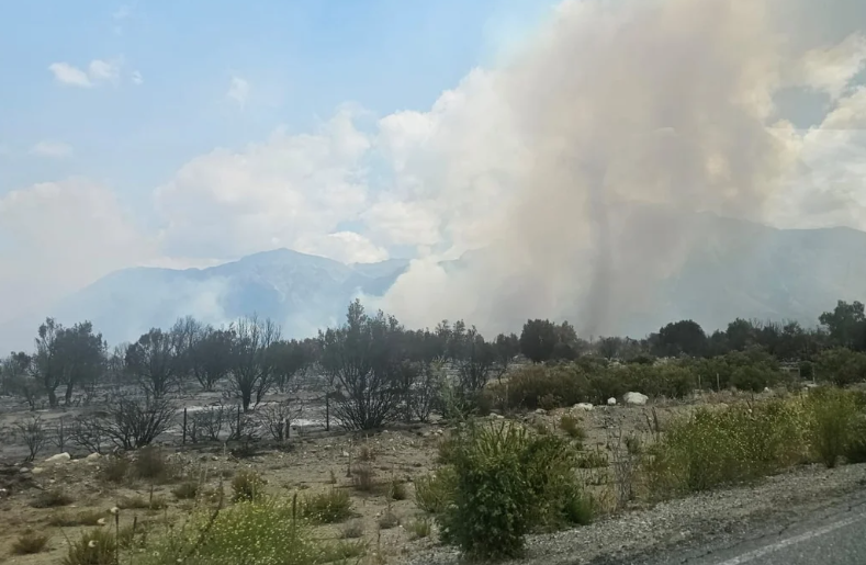 Imagen de la Noticia