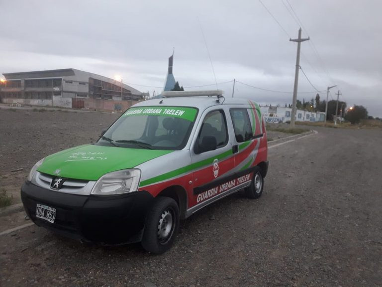 Imagen de la Noticia