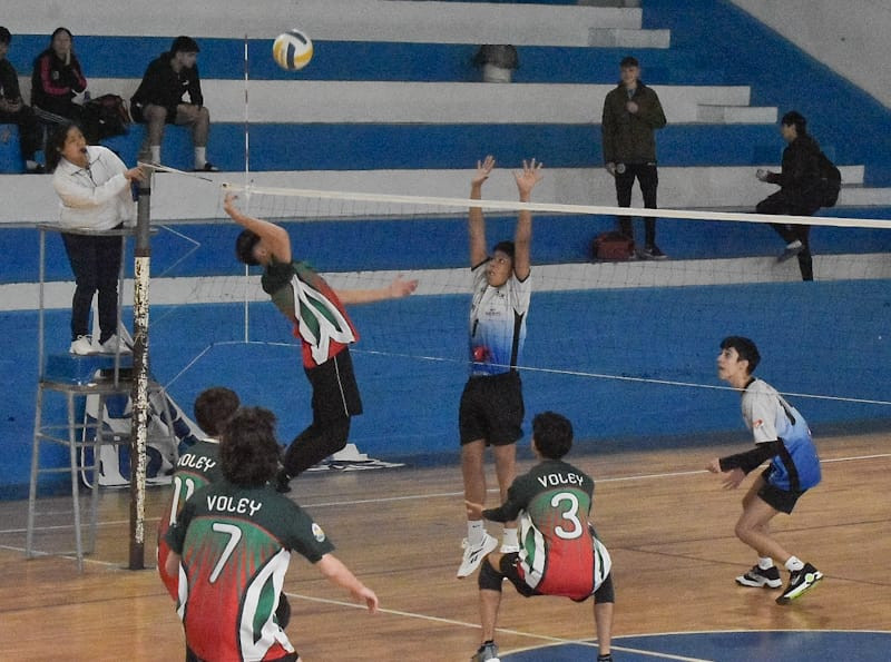 Imagen de la Noticia