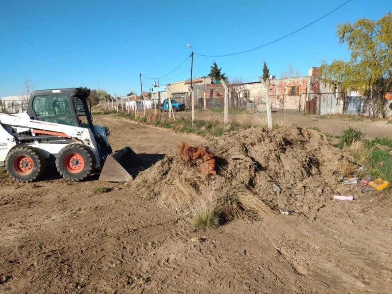 Imagen de la Noticia