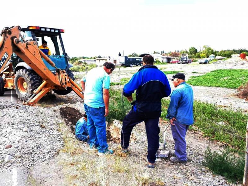 Imagen de la Noticia